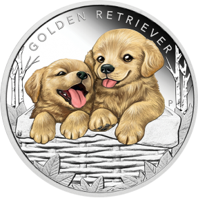 現貨 - 2018吐瓦魯-小狗-黃金獵犬-1/2盎司銀幣