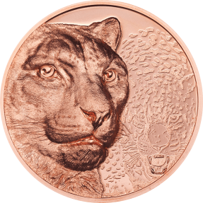 現貨 - 2024蒙古-野生蒙古系列-雪豹-50克銅幣