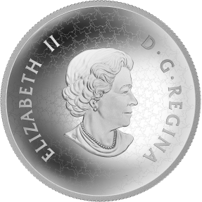 現貨 - 2017加拿大-楓葉-凸面造型-5盎司銀幣(塑殼微裂)