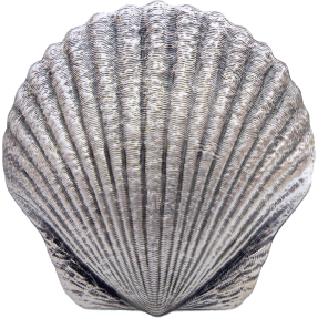 現貨 - 2019斐濟-貝殼-1盎司銀幣