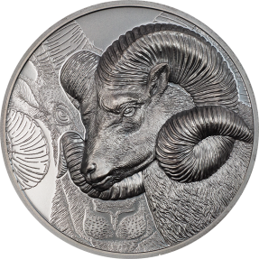 現貨  - 2022蒙古-宏偉的盤羊-黑色版-2盎司銀幣