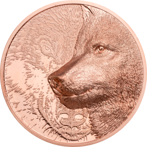 現貨 - 2021蒙古-神秘狼-50克銅幣