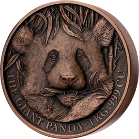 現貨 - 2023貝南-大貓熊-1公斤銅幣