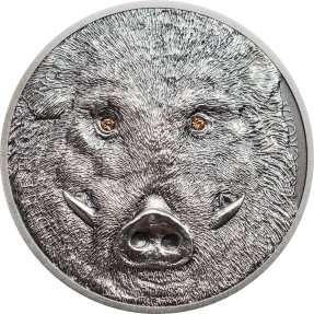 現貨 - 2018蒙古-野生動物保護系列-野豬-1盎司銀幣