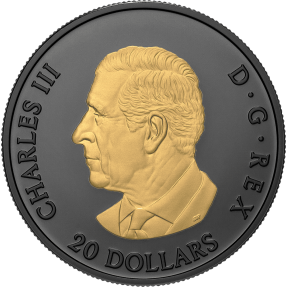 預購(即將到貨) - 2025加拿大-楓葉-鍍金鍍黑銠-1盎司銀幣