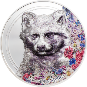 現貨 - 2020蒙古-迷人的林地精神系列-貉-1盎司銀幣