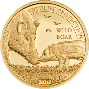 現貨 - 2018蒙古-野生動物保護系列-野豬-0.5克金幣