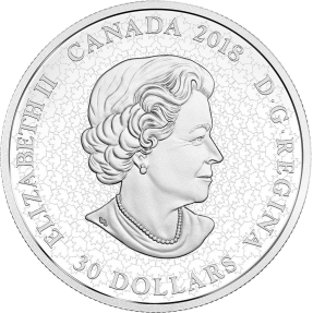 預購(限已確認者下單) - 2018加拿大-夜光系列-尼加拉瀑布-煙花-2盎司銀幣
