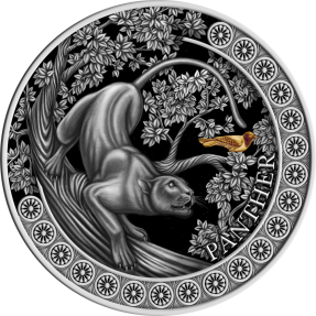 現貨 - 2022迦納-野外狩獵系列-黑豹-50克銀幣