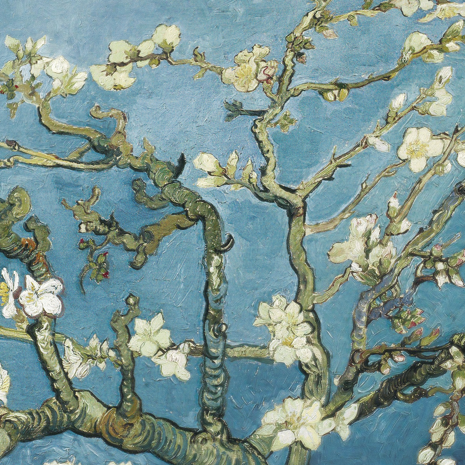 2022 Almond Blossom by Van Gogh 2 oz Pure Silver Coin Detail 1.jpg