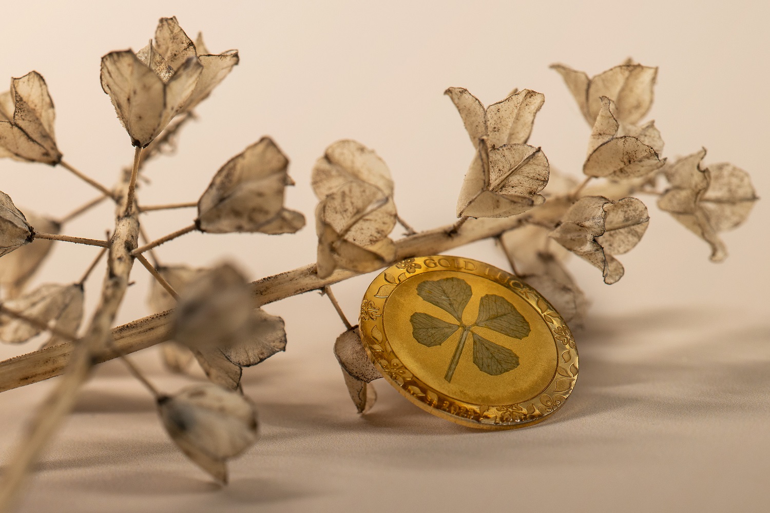 30136 Gold Luck 2023_s1z-1.jpg