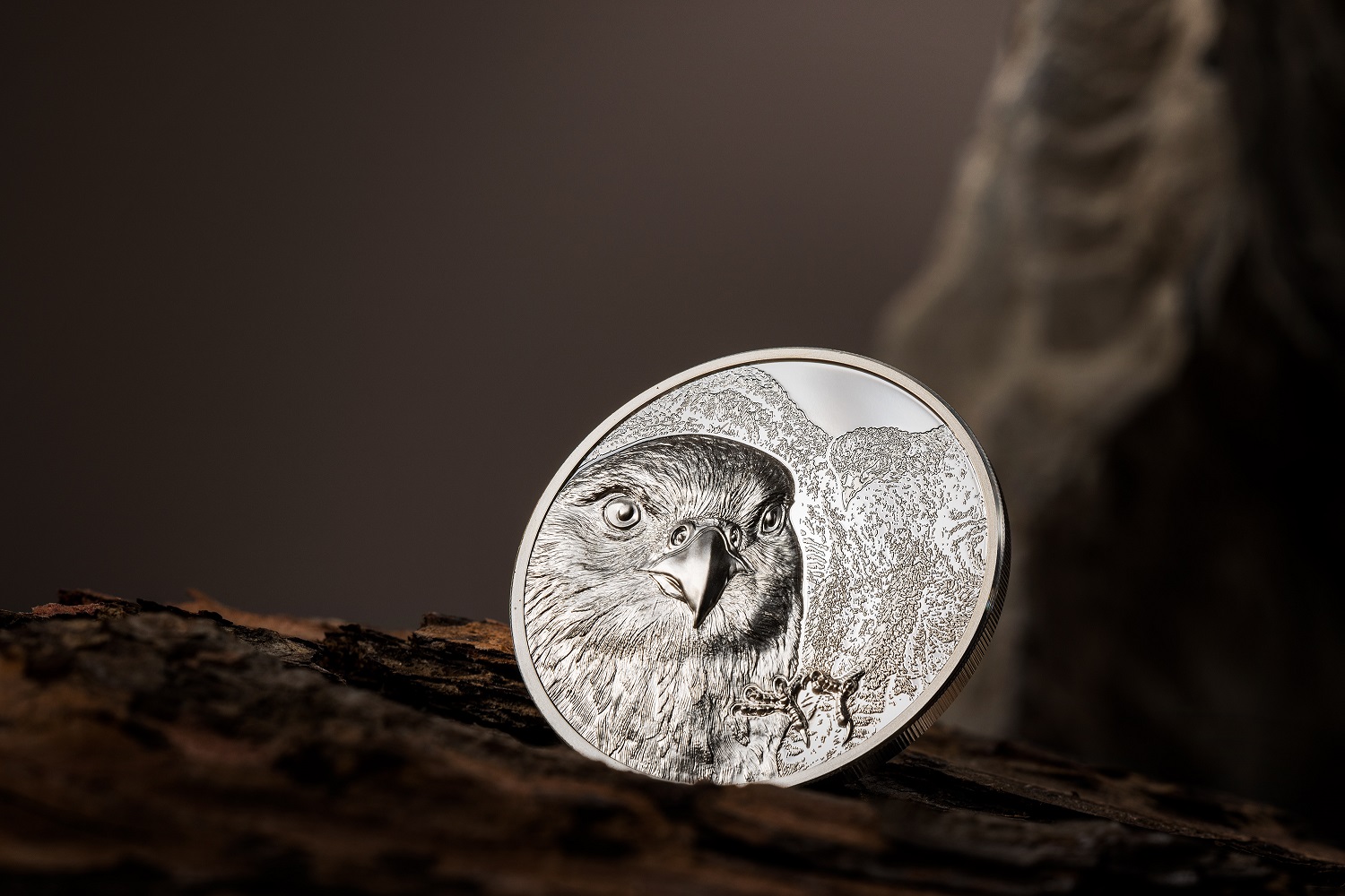 30288_Mongolian Falcon Silver 1oz_s1-1.jpg