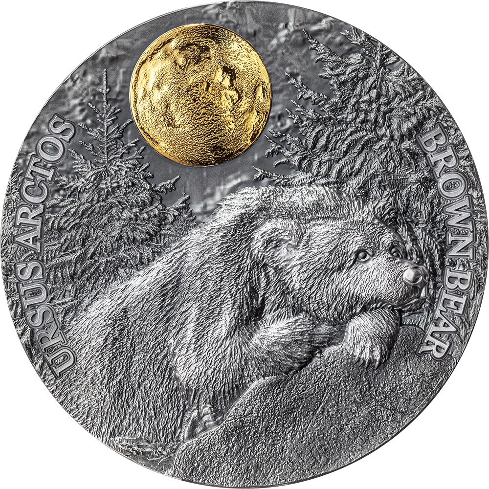 WM_Brown Bear_rev_1000х1000.jpg