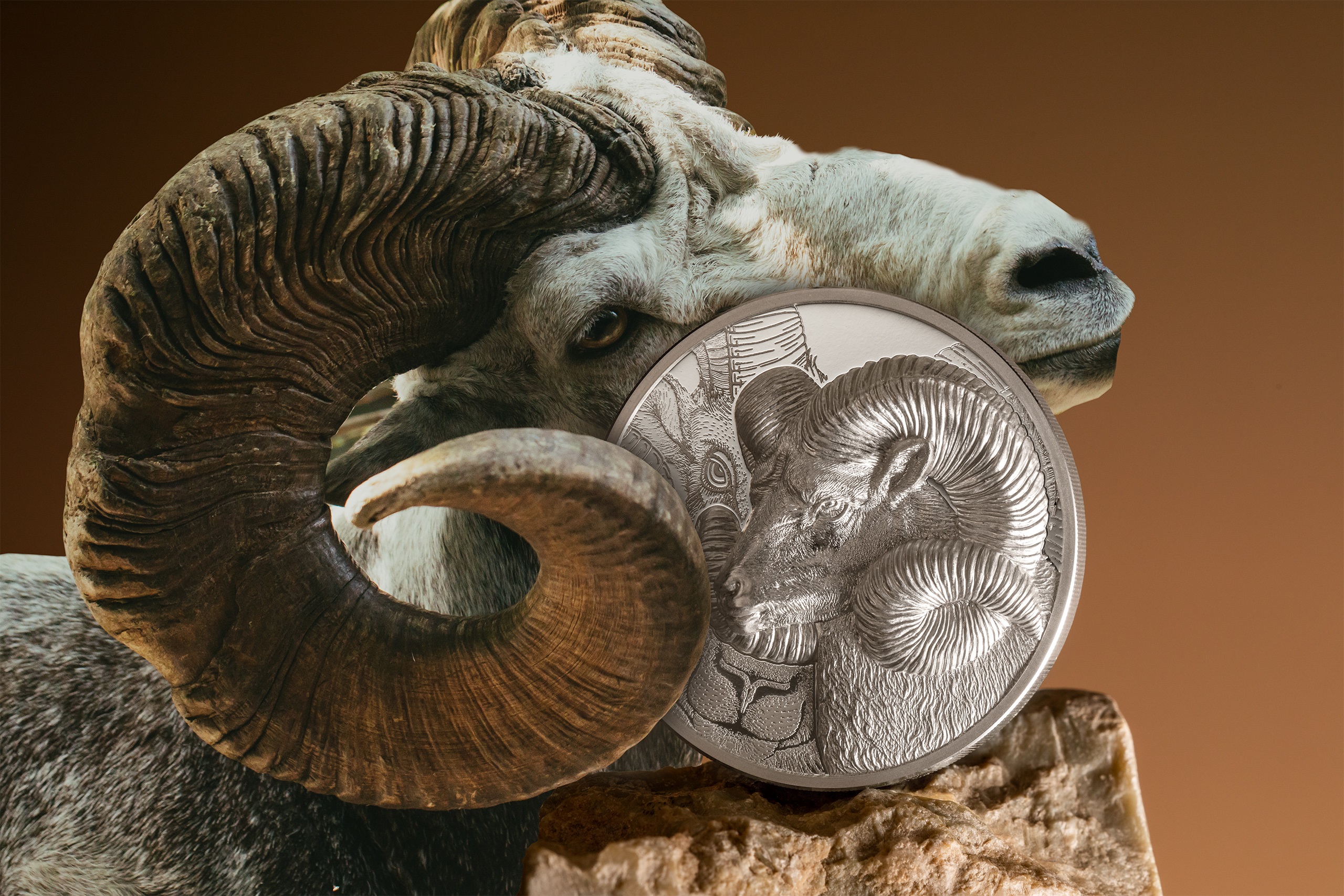 29866_Magnificent Argali Silver 3oz_s1.jpg