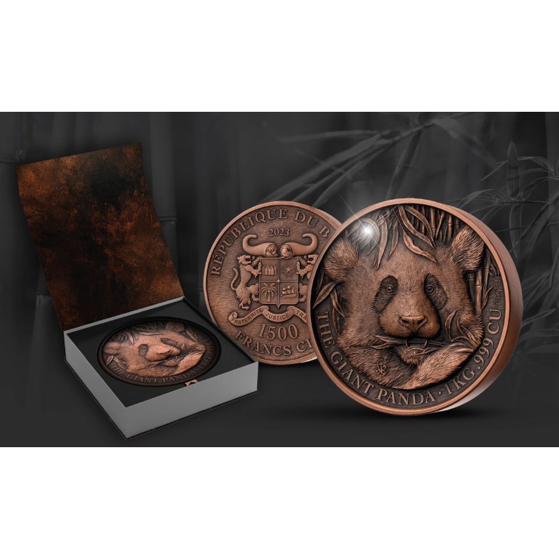 giant-panda-1-kg-copper-coin-1500-francs-benin-2023 (2).jpg