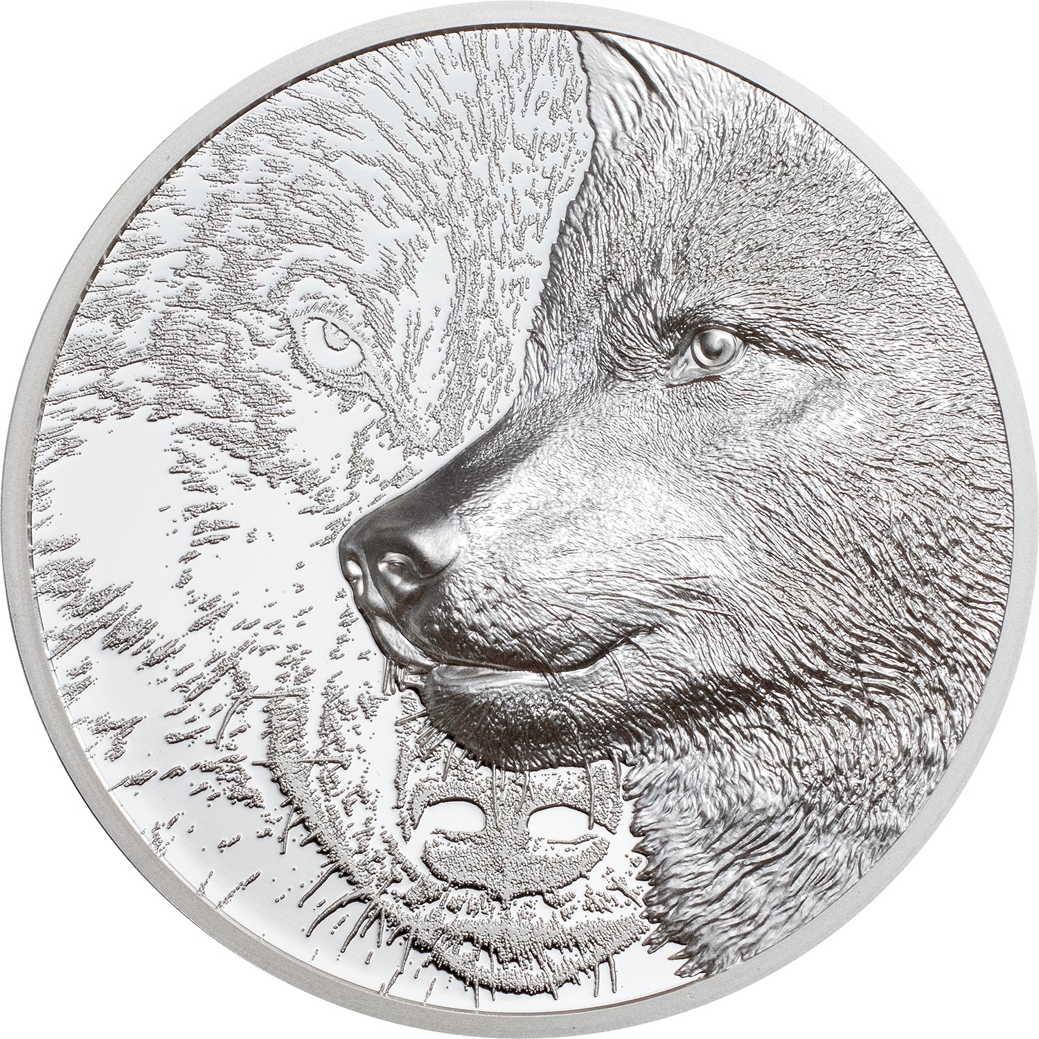 29568_Mystic Wolf Silver 1oz_r.jpg