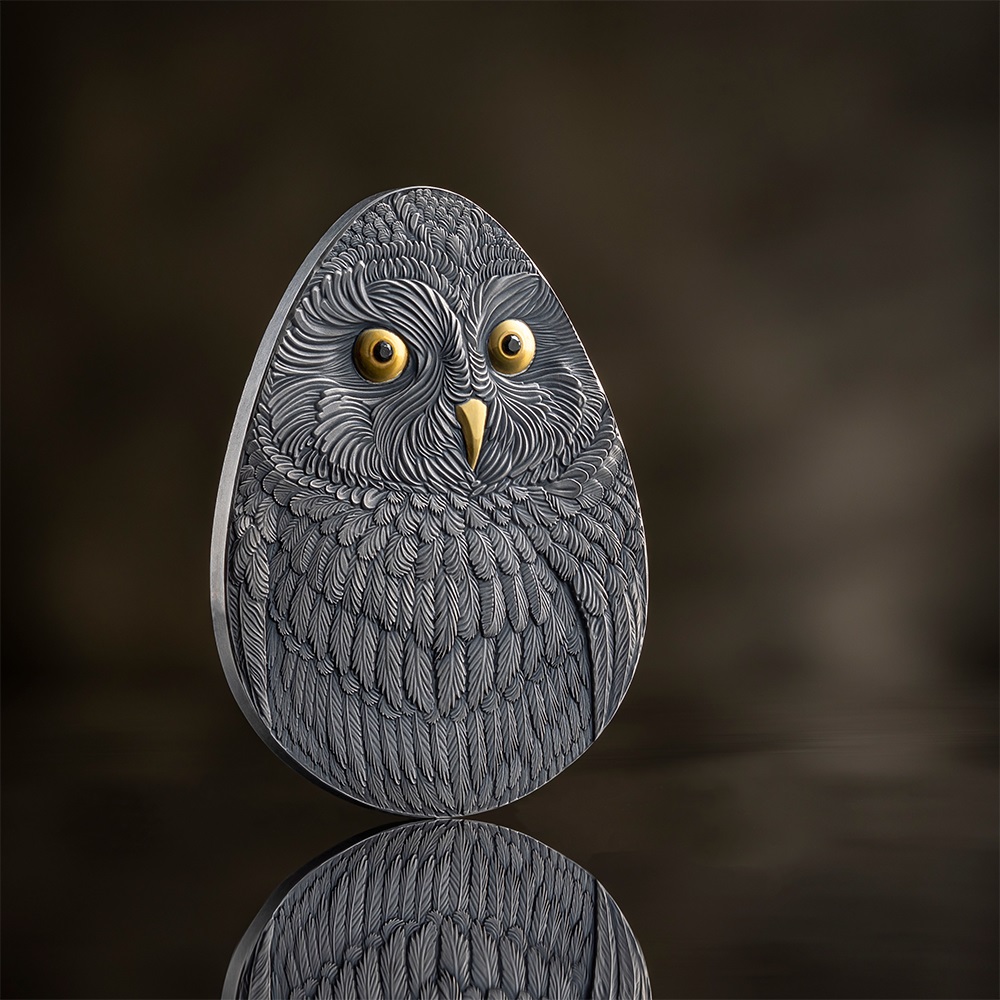 MO_Short-Eared Owl_backgr1_1000x1000.jpg